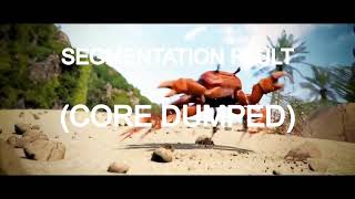 Segmentation fault (core dumped)