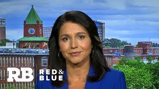 Tulsi Gabbard: We are an underdog campaign