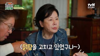 계부 이계인의 닭 특강 수강하러 간 사이 쏟아지는 황며느리 칭찬릴레이♡ | tvN STORY 221121 방송