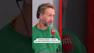 "Semaine Green" sur RTL : Philippe Caverivière et ses chats