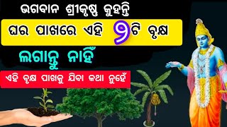 ଭଗବାନ ଶ୍ରୀକୃଷ୍ଣ କୁହନ୍ତି ଯେ ଘର ପାଖରେ ଏହି 2ଟି ବୃକ୍ଷ ଲଗେଇବା ଉଚିତ୍ ନୁହେଁ। Vastu // motivational speech