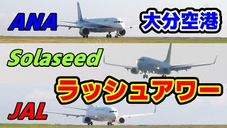 【大分空港】早朝ラッシュアワー！ANA・Solaseed・JALのド迫力離着陸！！