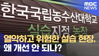 열악하고 위험한 실습 현장, 왜 개선 안 되나? (2022.07.04/뉴스데스크/MBC)