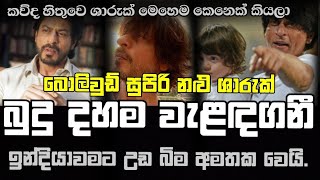 ශාරුක් ඛාන්ට මොකද වුණේ ? | Wht's Happen Sharuk Khaan | Sharuk Love Story | Sharuk All Film