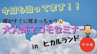 塾長、【ヒカルランドパーク】にて【マコモ】の初耳なお話を面白おかしく広めちゃうの巻