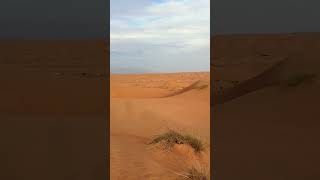 Wahiba Sands at Sunset #oman #visitoman #travel #adventure #desert