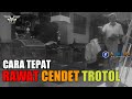 Perawatan Cendet Trotol | Om Bus