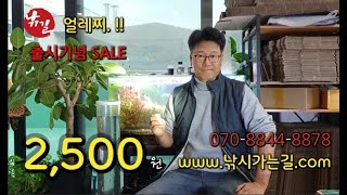 [낚길]_ 얼레찌 / 얼레벌레찌 / 가성비 좋은 붕어 대물찌 낚길 정품 출시기념