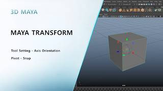 Maya Transform Tool Complete Guide