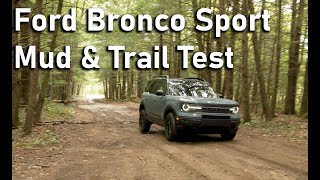 Deep In The Woods With The Ford Bronco (Part 2)