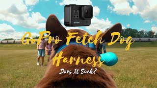 Gopro Hero 8 Black *Official Fetch Dog Harness* Hypersmooth 2.0