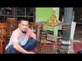 Sangkar Murai Kandang Burung Hias Model Custom Full Kayu Jati Furniture Jepara