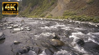 【川のせせらぎ】サケ・マスが遡上するオンネベツ川の下流ヒーリング