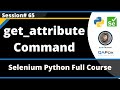 get_attribute command in Selenium Python (Session 65)