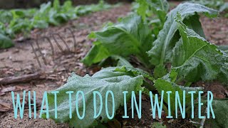 What To Do in Winter (Goodstream #202)