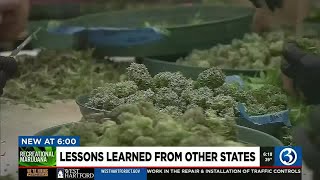 Lessons learned from other states recreational marijuana