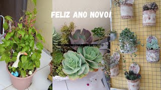 FELIZ ANO NOVO DUVIDAS SOBRE O CANAL FLORES E SUCULENTAS