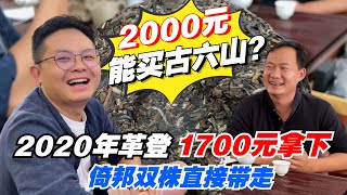 2000元能买古六山？2020年革登1700元拿下！倚邦双株直接带走？购茶请加微信/赖line：HDLG003 #普洱茶#古树茶#老班章#古树茶#茶#茶叶#茶葉#古樹茶 #普洱茶wechat #tea