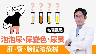 【名醫觀點】 泡泡尿 尿液變色 尿有臭味 恐是 肝 腎 膀胱 出問題！