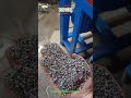 Copper Wire Granulator For Sale Electric Car Cable Recycling | How A Copper Wire Granulator Works