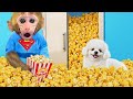 Bebe Mono Bonbon hace palomitas coloridas y juega con carritos con el perrito - MONO BONBON ESP