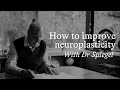 Rewiring Your Brain & Neuroplasticity with Dr David Spiegel