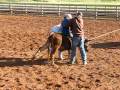 skyler steer riding red reflet ranch