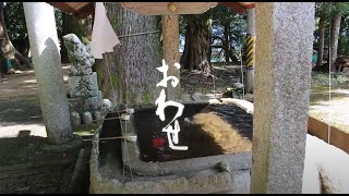 【定点動画45】三重県尾鷲市曽根町　飛鳥神社②