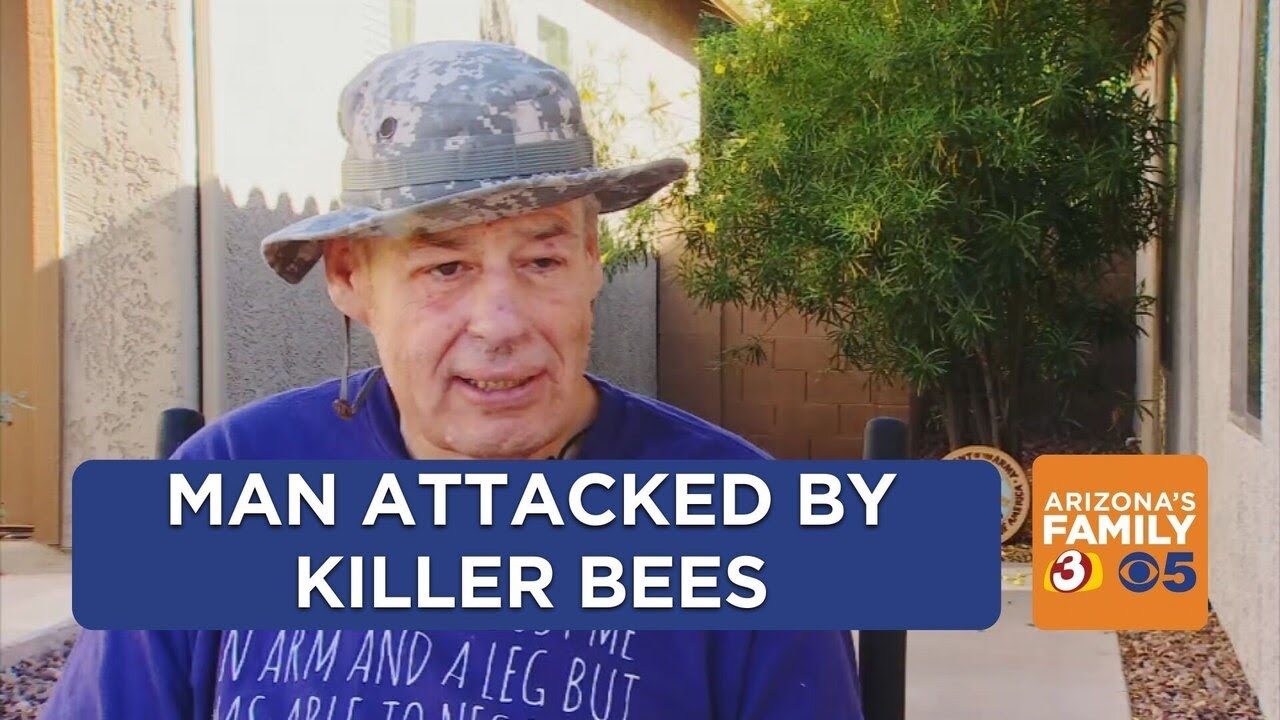 Florence Man In Wheelchair Attacked By Killer Bees - YouTube