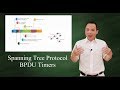 Spanning Tree Protocol - BPDU Timers