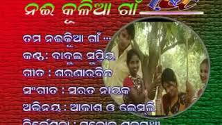 Tama naikulia gaan joma bhuli houni  odia album song