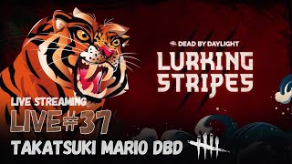 【DBDLIVE#37】４K配信！木曜ライブ。スキレ現在+88！「Dead by Daylight」【mariodbd】