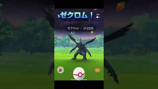 【Pokémon Go】2021ポケモンGoフェス：6歳伝説ポケモン捕獲結果超まとめ：号泣＆歓喜 #Short