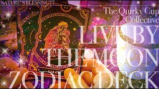 【開封動画】🌕LIVE BY THE MOON ZODIAC DECK🃏とタロットスカーフのご紹介💕