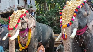 ശരൺ അയ്യപ്പൻ vs ചോപിസ് കുട്ടിശങ്കരൻ അയിനൂർ ചീനിക്കൽ പൂരത്തിന്2021|chopis kuttisangaran new video|