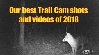 Our best Trail Camera wildlife shots from  2018