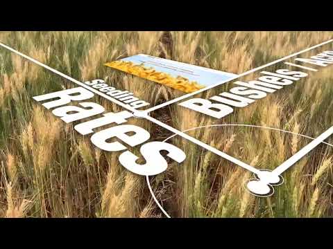 How many bushels of barley can you get per acre?