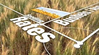 Seeding Rates Bushels Per Acre or Plants Per Square Foot