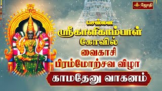 சென்னை காளிகாம்பாள் கோவில் வைகாசி பிரம்மோற்சவம் - காமதேனு வாகனம்  Kalikampal | Vaikasi Brahmotsavam