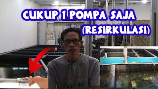 12_Cara Kerja Sistem Resirkulasi Kolam || Lobster Air Tawar ||