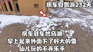 四辆房车自驾川藏线，西藏暴雪，第一次看雪的贵宾仙儿在雪地里玩的好开心【半仙的房车生活】