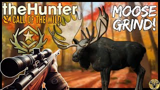 Great One TONIGHT??? 1000+ kills into Moose! / Multiplayer Hopping! The Hunter: Call of the Wild