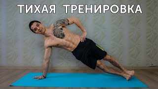 ТИХАЯ ТРЕНИРОВКА ДЛЯ ДОМА! Упражнения на все тело! | neofit 76