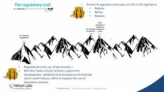 The Biocompatibility Trail: A challenging hike towards animal free testing