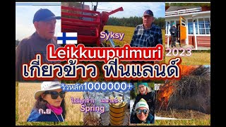 เกี่ยวข้าวประเทศฟินแลนด์ ก.ย 2023 leikkuu puimurit |Finland thai garden