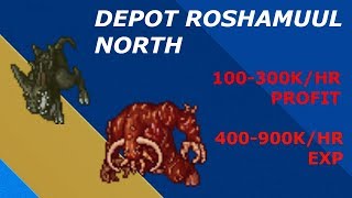 [Tibia - Hunt Paladin 120+] Depot Roshamuul North