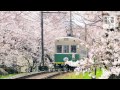 京のこたび 嵐電沿線 keifuku electric railroad 京都いいとこ動画