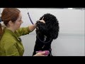 The most banned dog in the grooming salon