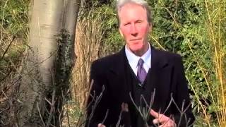 How to make a funeral special and personal