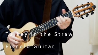 「Turkey in the Straw」with Piccolo Guitar